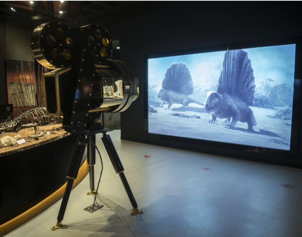 „Kinematograf” – test projekcji na ekranie