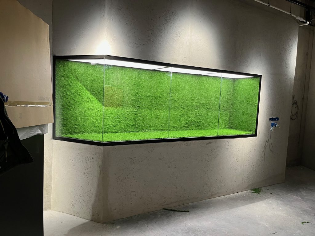 Muzeum Śląska (Wrocław) – panel ekspozycyjny z zielonym tłem