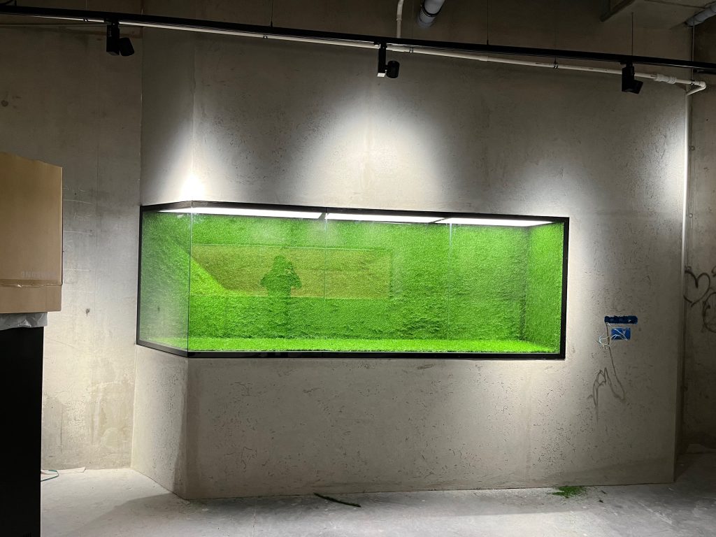 Muzeum Śląska (Wrocław) – szklana ekspozycja i ekran ekspozycyjny