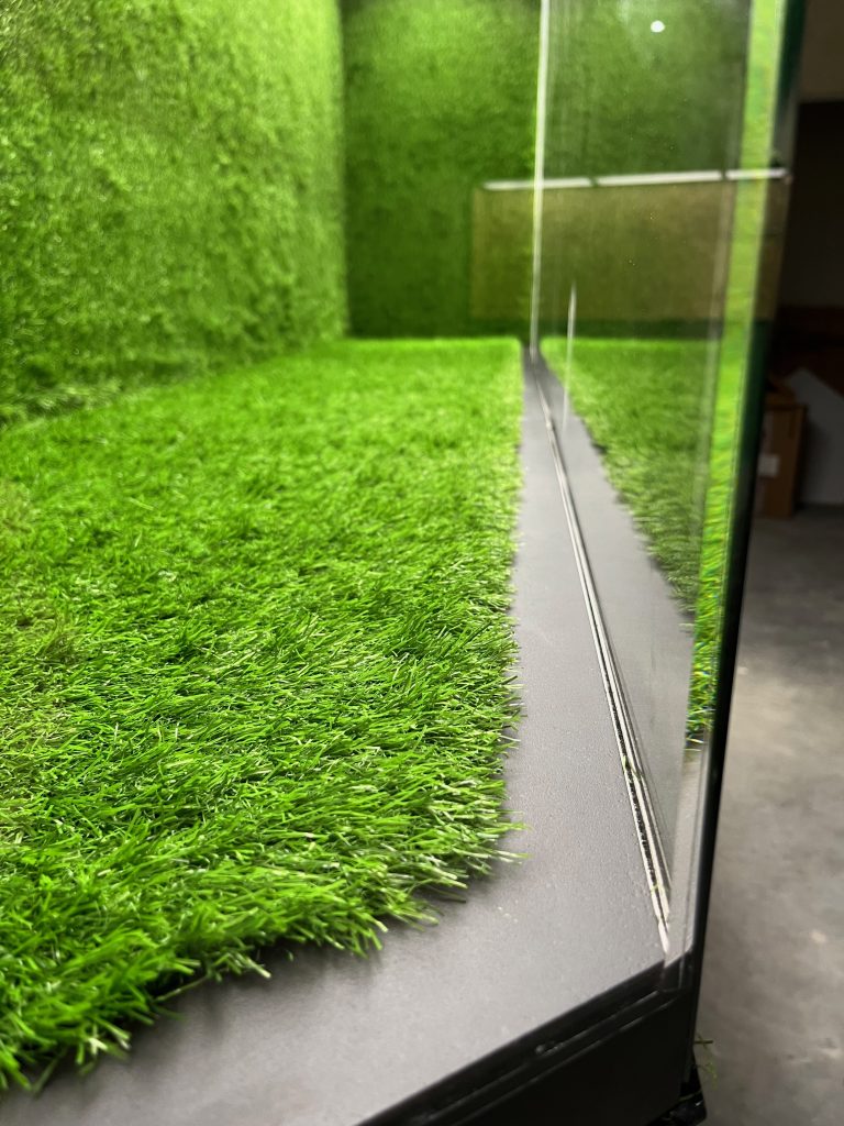 Muzeum Śląska (Wrocław) – korytarz z zieloną ścianą