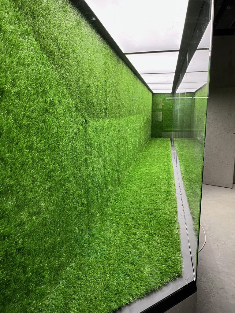 Muzeum Śląska (Wrocław) – strefa zieleni, ujęcie narożne