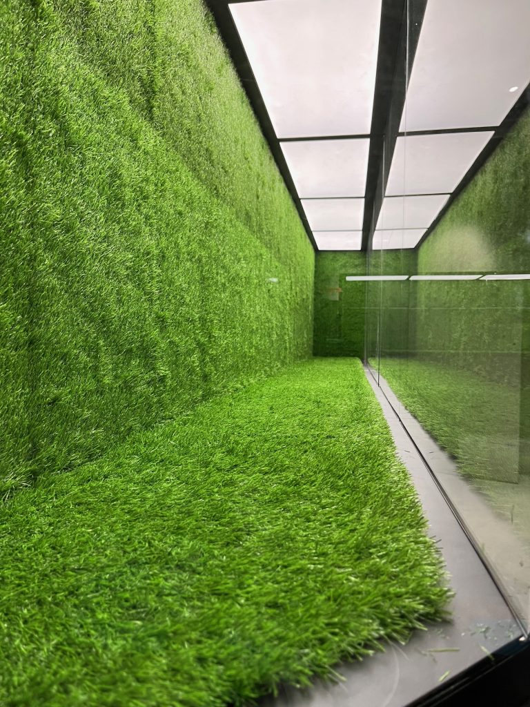 Muzeum Śląska (Wrocław) – zieleń i oświetlenie (detal)